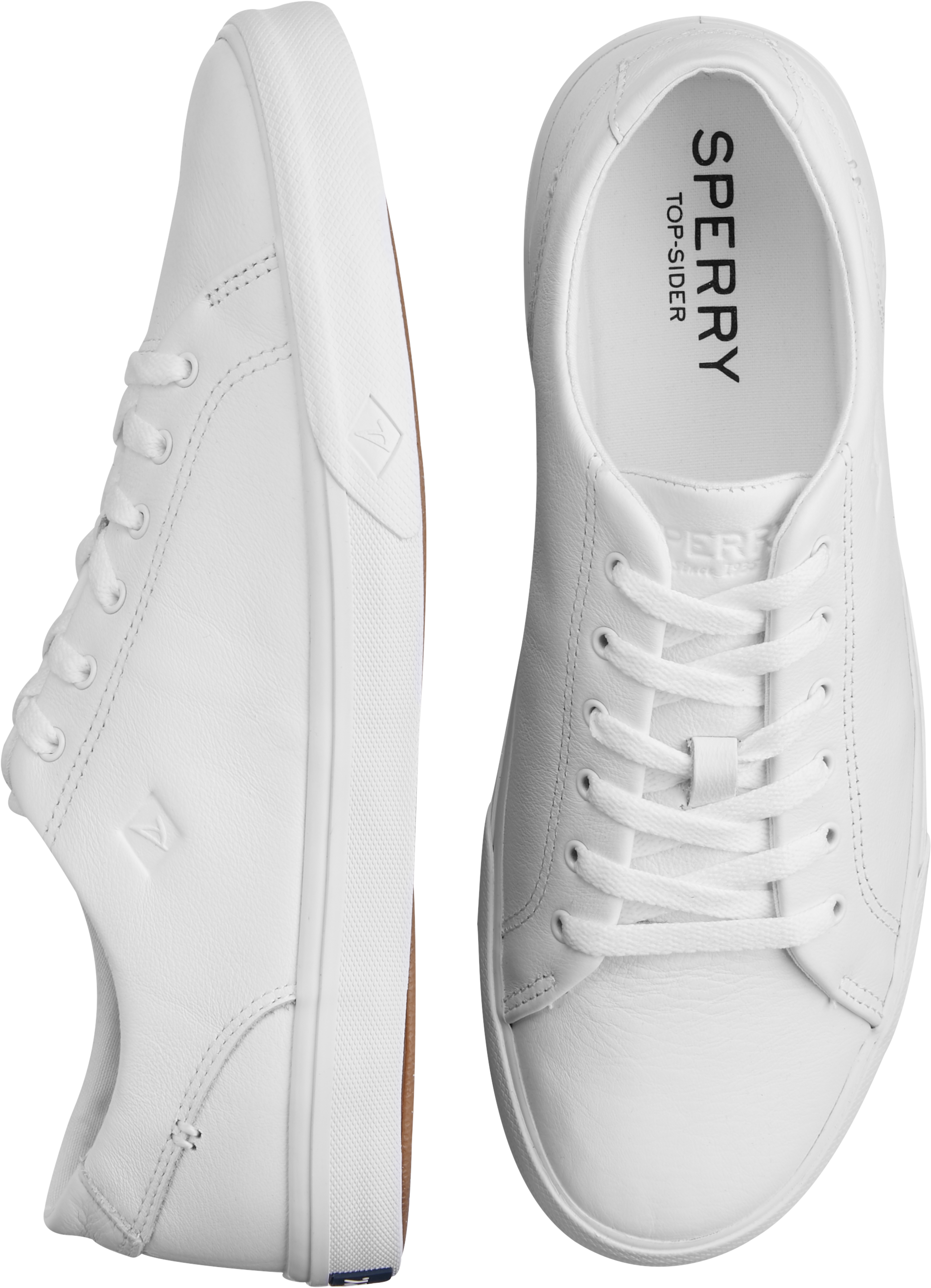 sperry leather sneakers mens