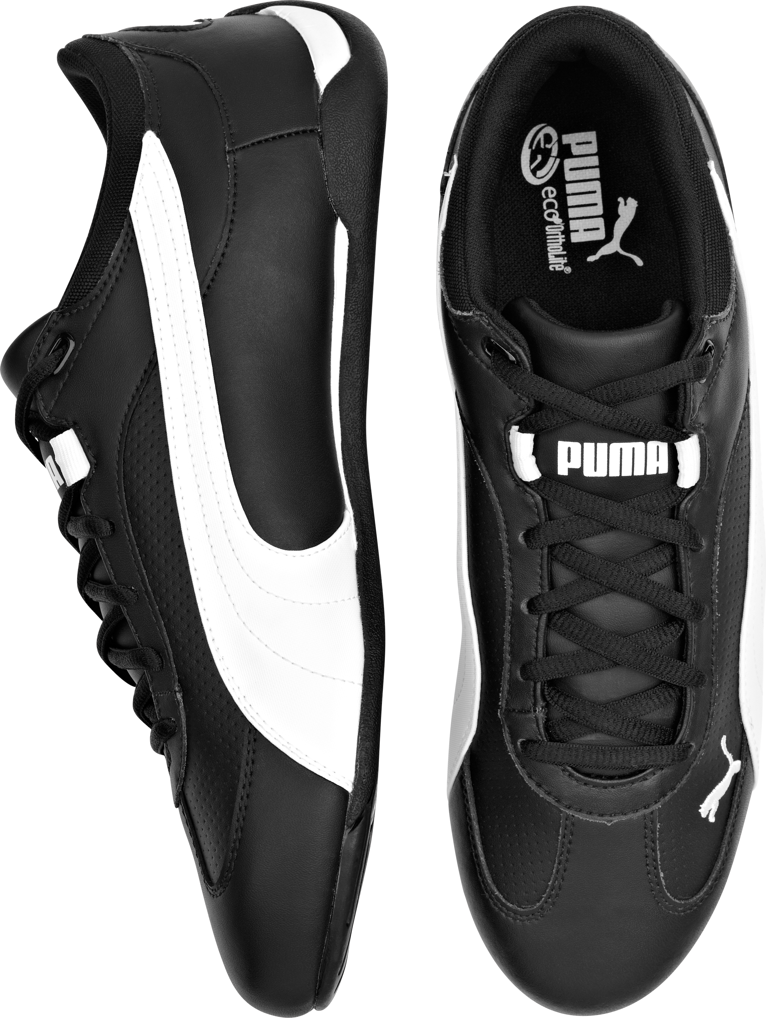 fastcat puma