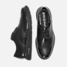 Cole Haan Original Grand Remastered Wingtip Oxfords