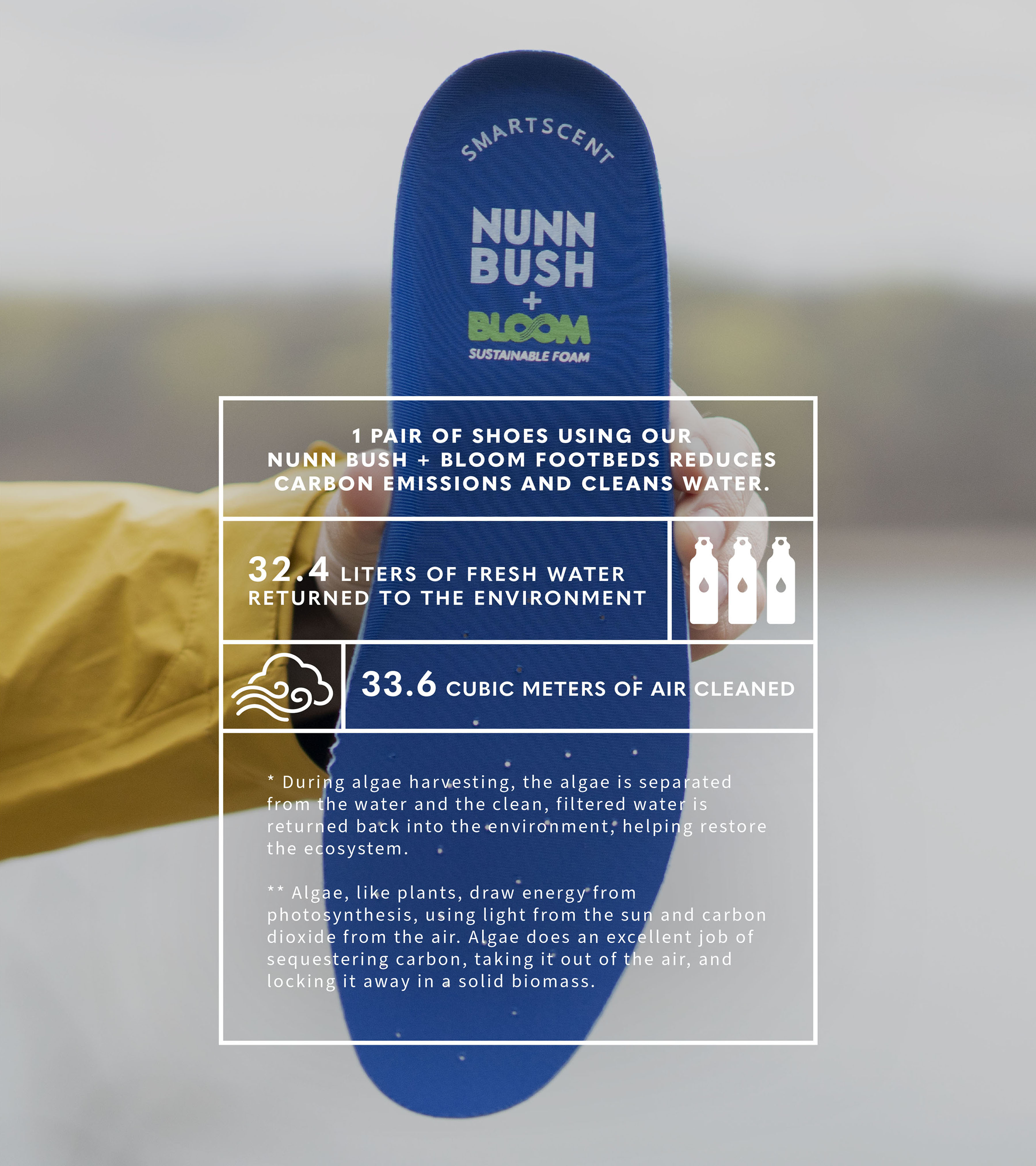 Chase Plain Toe Oxfords