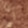 Pecan