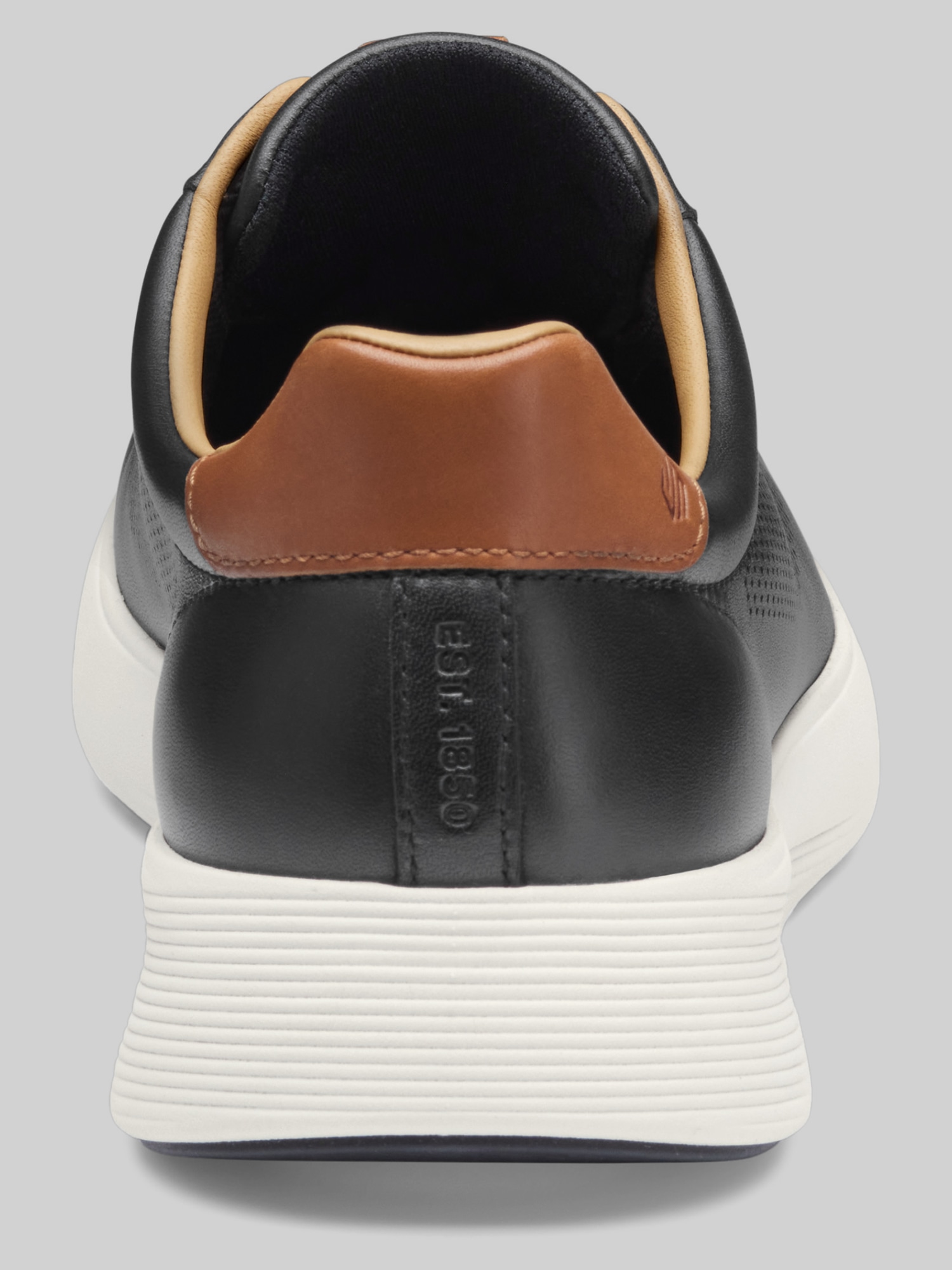 Ackerson Perforated Plain Toe Sneaker
