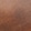 Tan Cinnamon