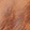 Tan Rustic