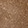 Tan Suede Tml