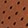 Bristish Tan/Ivory