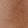 Saddle Tan