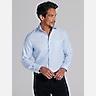 Pronto Uomo Modern Fit Oxford Dress Shirt