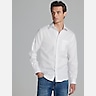 Pronto Uomo Slim Fit Queens Oxford Dress Shirt