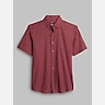 Awearness Kenneth Cole Slim Fit 4-Way Stretch Mini Asterisk Button Up Shirt