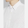 Awearness Kenneth Cole Slim Fit 4-Way Stretch Button Up Shirt