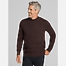 Joseph Abboud Modern Fit Chunky Mock Neck Sweater