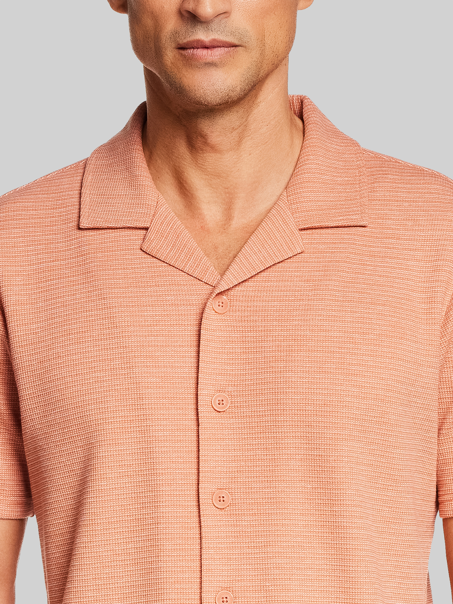 Regular Fit Variegated Microstripe Coat-Front Short Sleeve Shirt