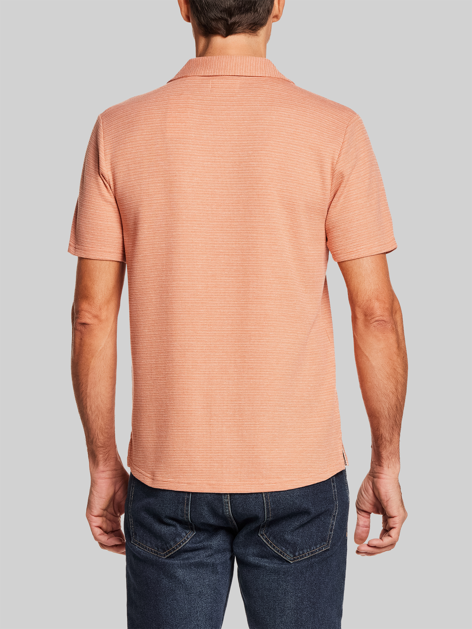 Regular Fit Variegated Microstripe Coat-Front Short Sleeve Shirt