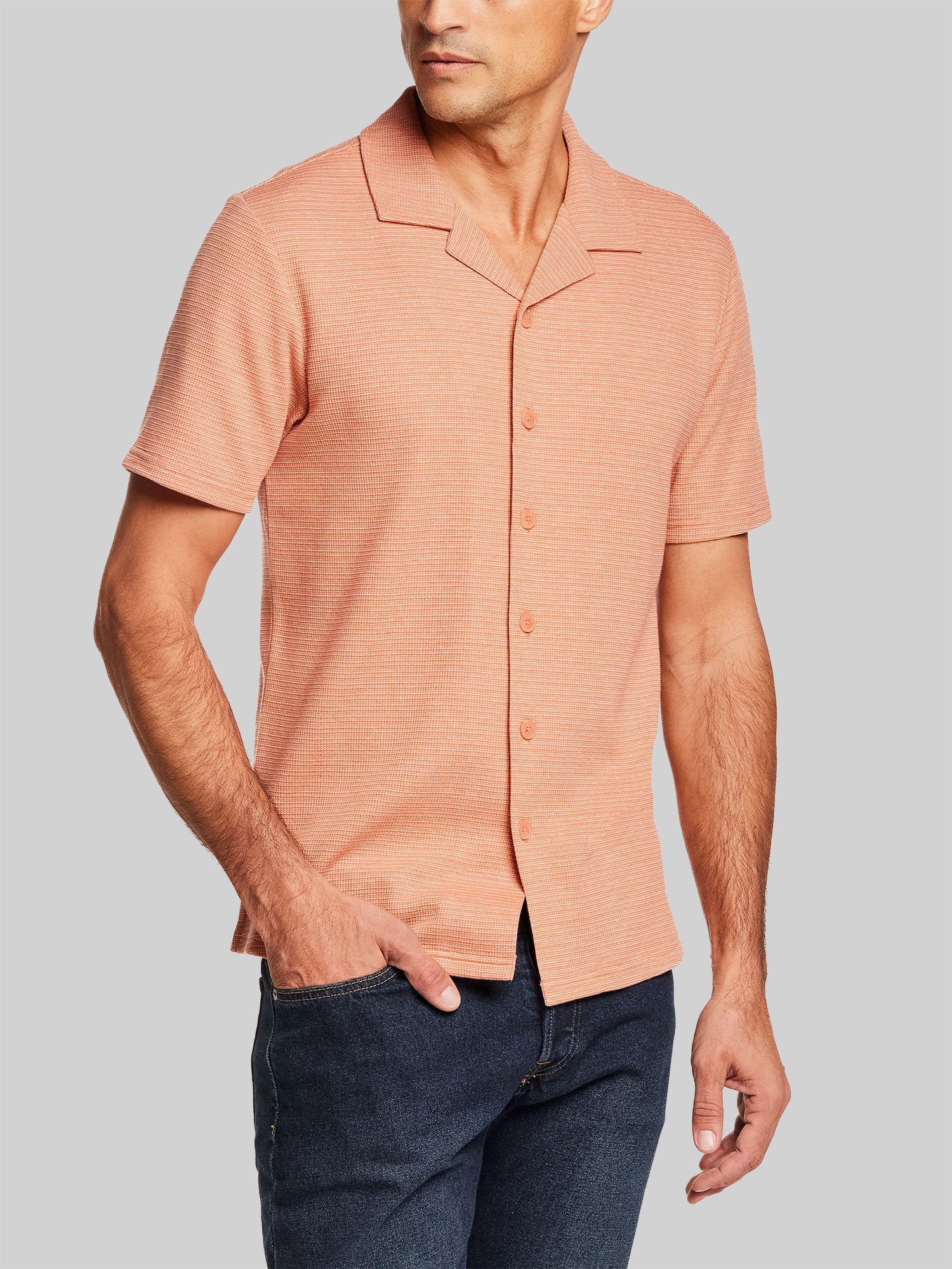 Regular Fit Variegated Microstripe Coat-Front Short Sleeve Shirt
