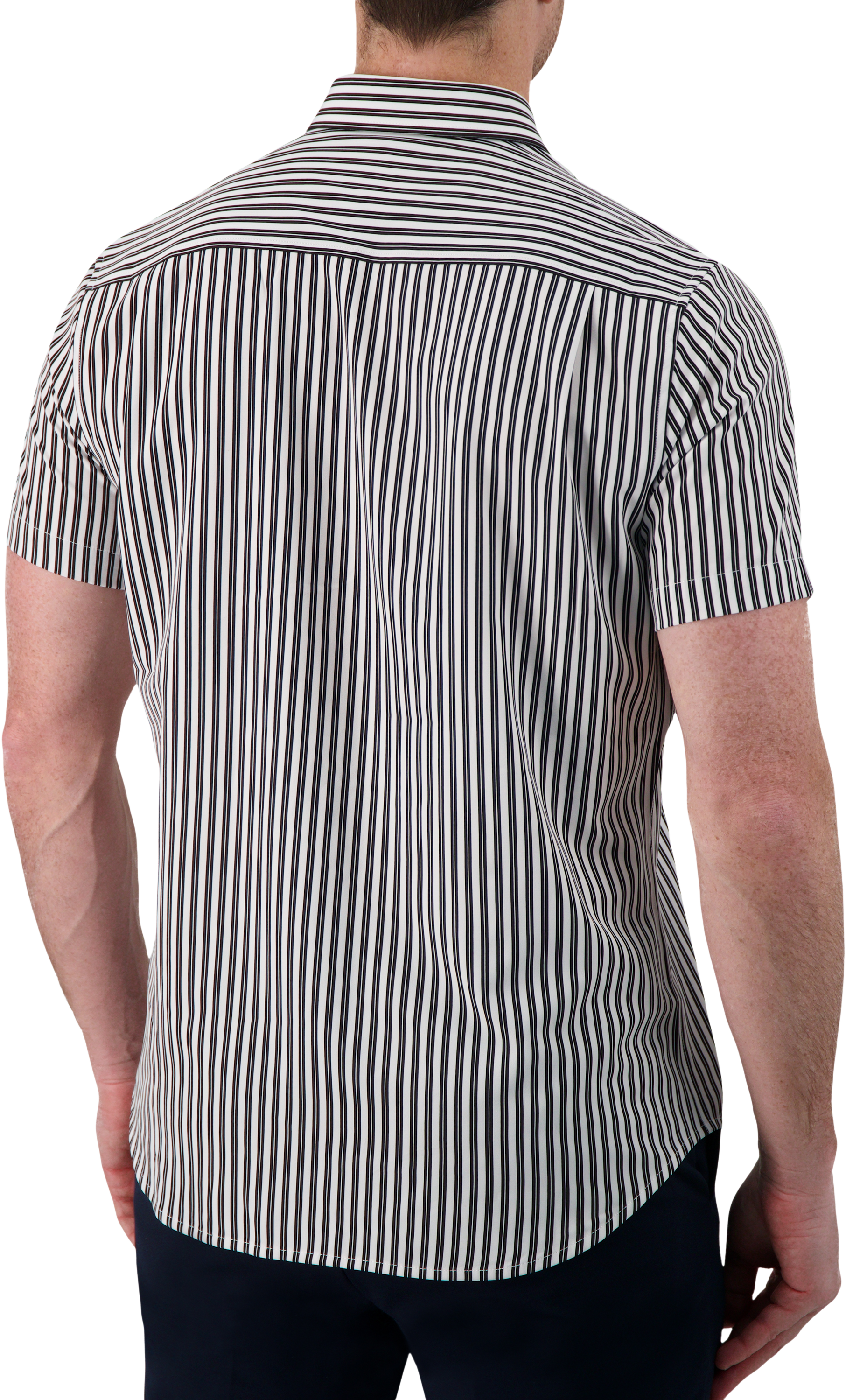 Modern Fit Stripe Performance 4-Way Stretch Short Sleeve Sport Shirt