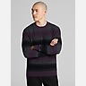 Awearness Kenneth Cole Slim Fit Stripe Crewneck Sweater