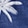 Navy Palm Tree