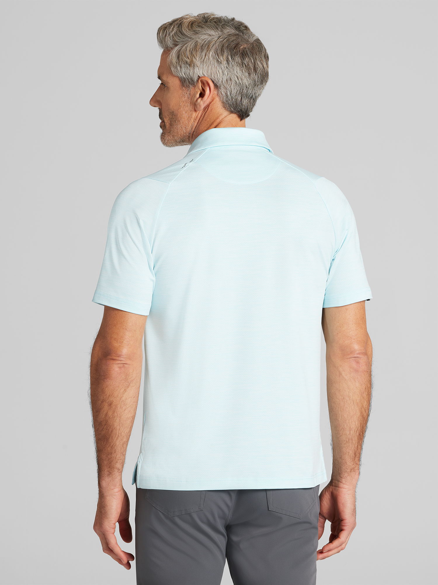 Regular Fit Heathered Jacquard Polo