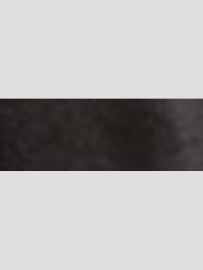 Mauritius Leather Zip Bomber