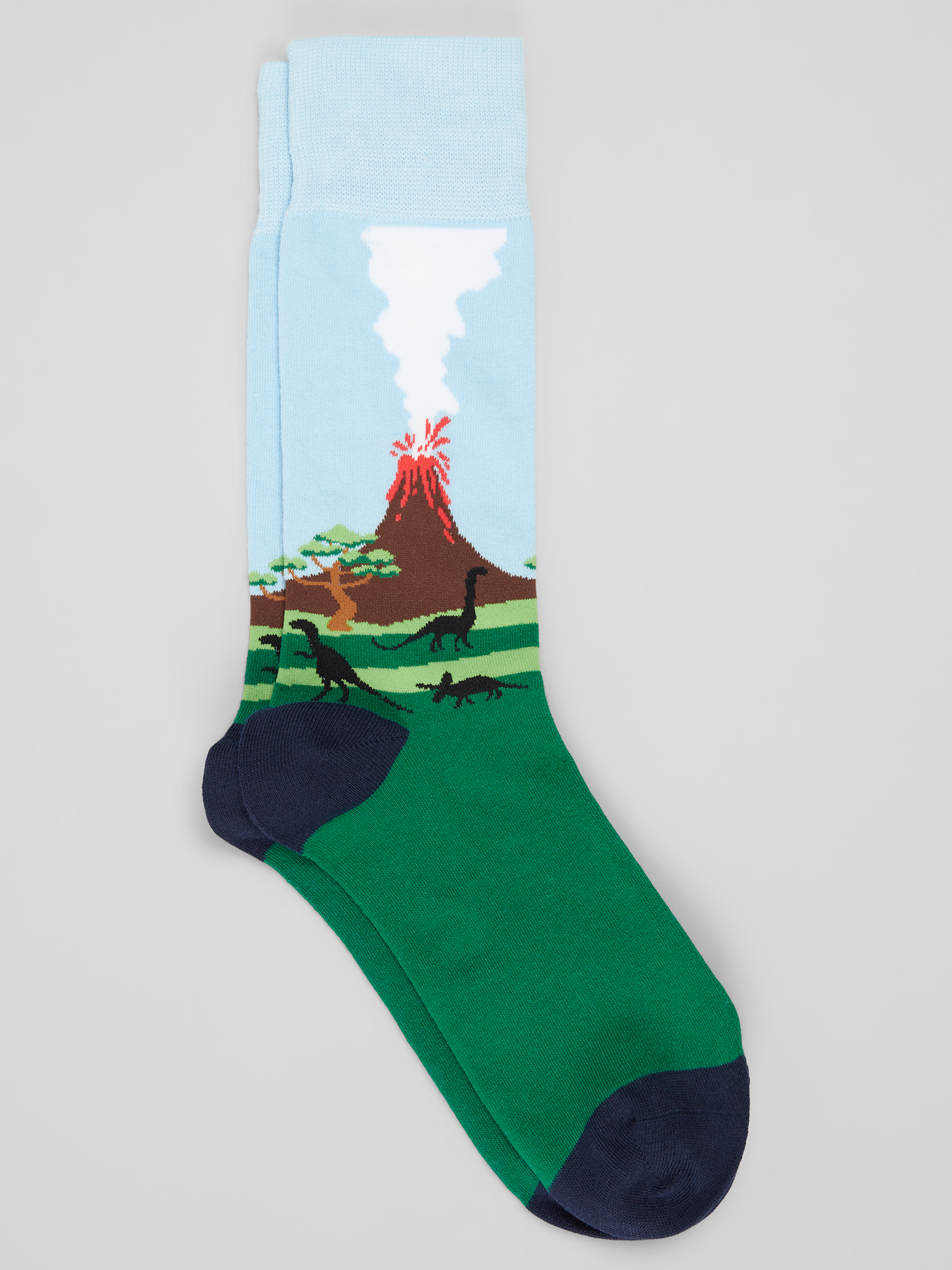 Dinosaur Scenic Socks, 1-Pair