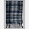 Joseph Abboud Plaid Twisted Fringe Scarf