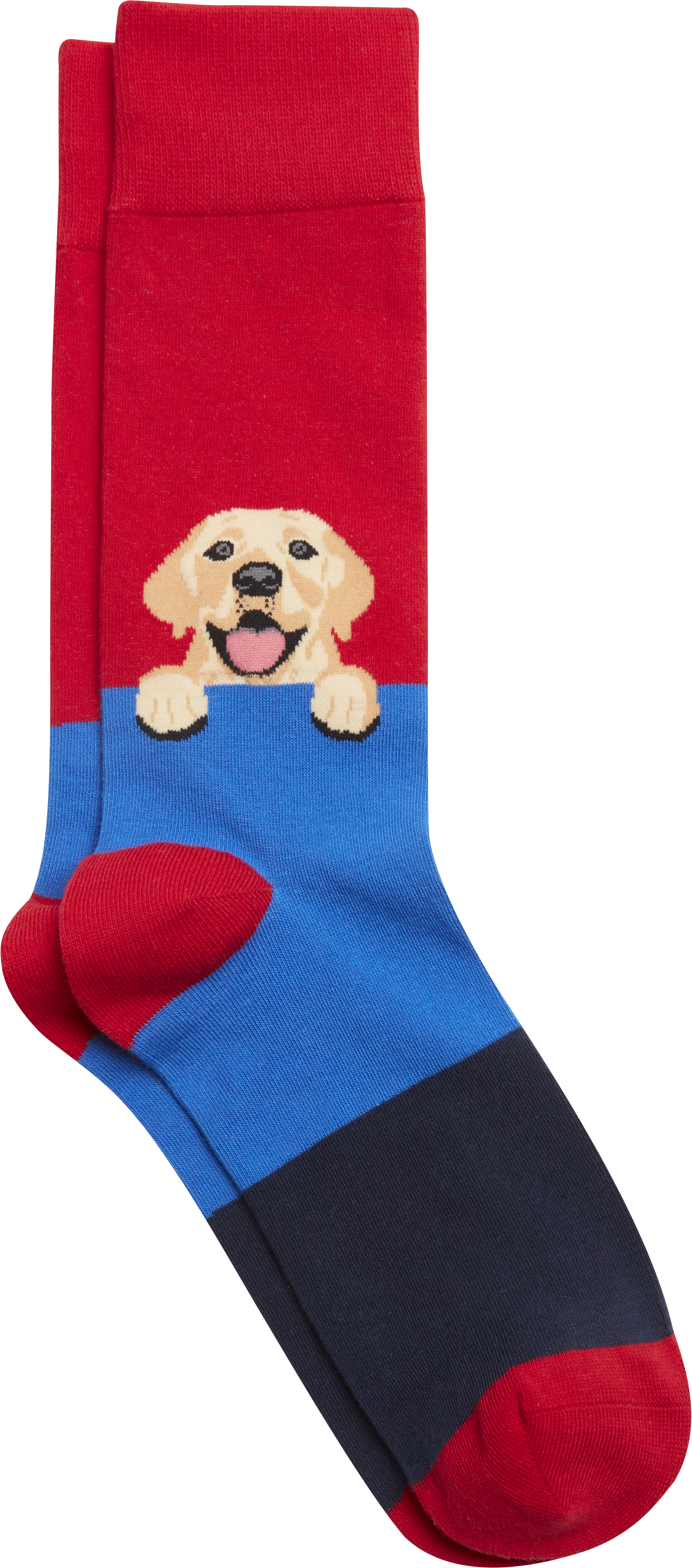 American Dog Socks, 1-pair
