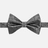 Egara Paint Swirls Pre-Tied Bow Tie