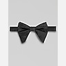 Egara Metallic Teardrop Bow Tie