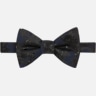 Egara Deep Vines Boxed Pre-Tied Bow Tie