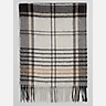 Joseph Abboud Border Stripe Plaid Scarf