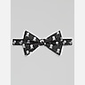 Egara Skulls Print Pre-Tied Bow Tie