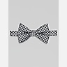 Egara Checkerboard Pre-Tied Bow Tie