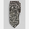 Egara Narrow Vine Paisley Tie