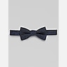 Egara Vine Paisley Pre-Tied Bow Tie