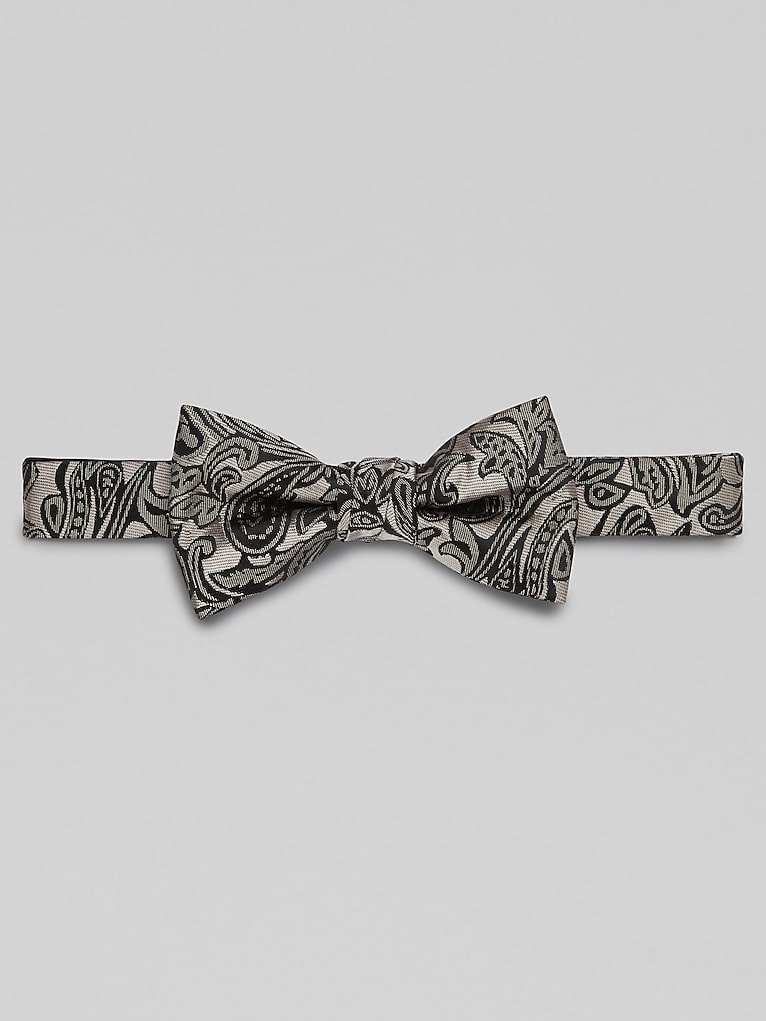 Egara Vine Paisley Pre-Tied Bow Tie