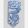Joseph Abboud Narrow Botanical Paisley Tie