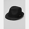 Biltmore Paisley Velour Fedora Hat