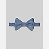 Egara Etched Modern Paisley Pre-Tied Bow Tie