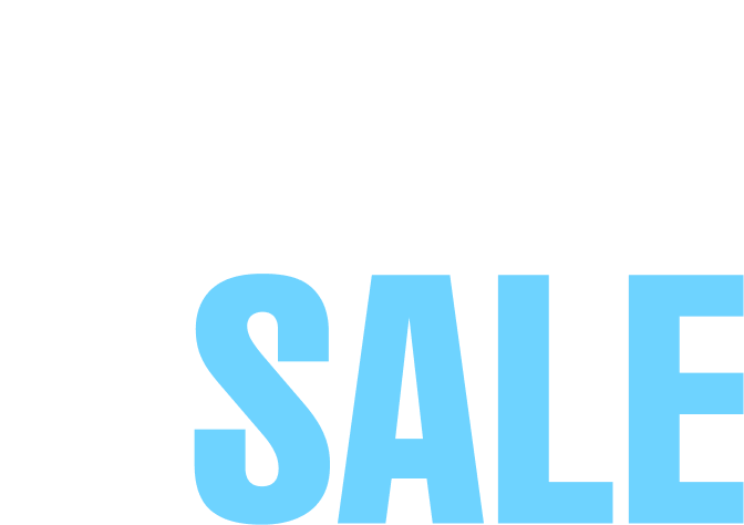 1 DAY SALE